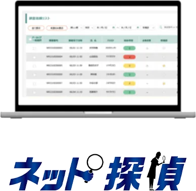 ネット探偵